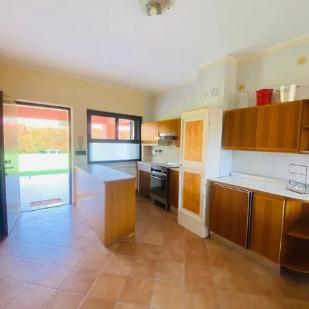 Galvani * 바르돌리노